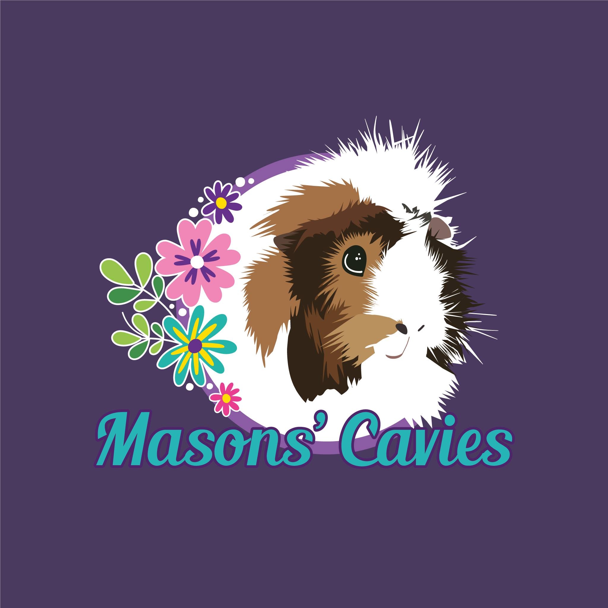 Click for Masons' Cavies